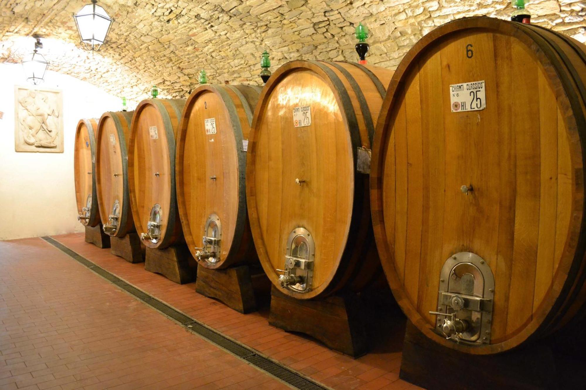 Castello Vicchiomaggio Greve in Chianti