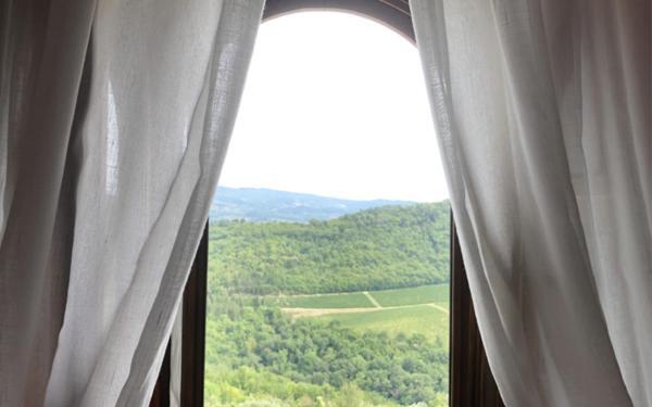 Farm stay Castello Vicchiomaggio Greve in Chianti